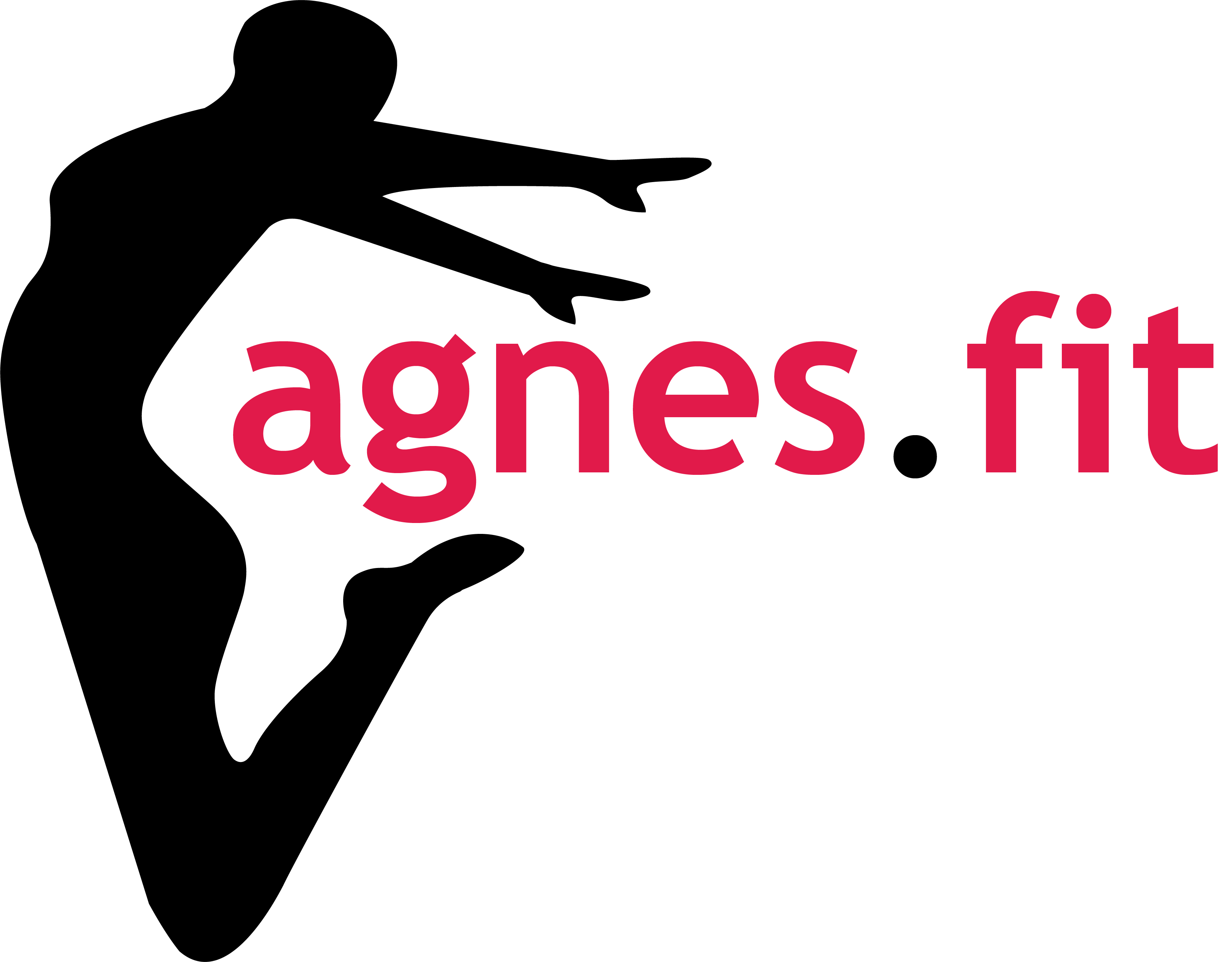 Ilustracja przedstawia logotyp klubu Agnes FIt