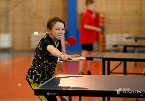 X Mistrzostwa Gminy Kosakowo w Tenise Stołowym